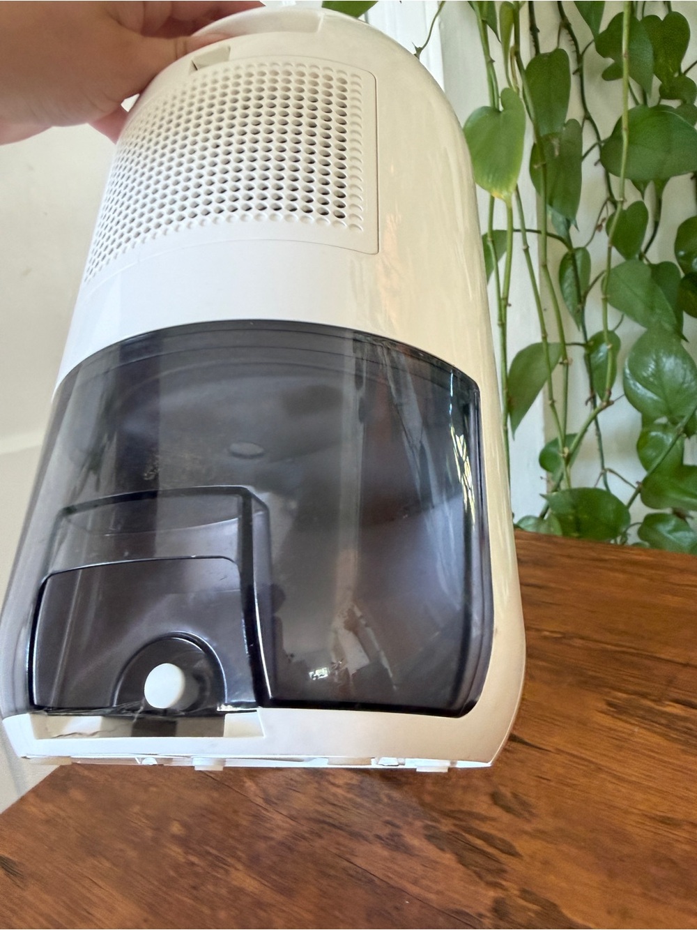Makayla White Portable Humidifier / Diffuser - Picture 12 of 13